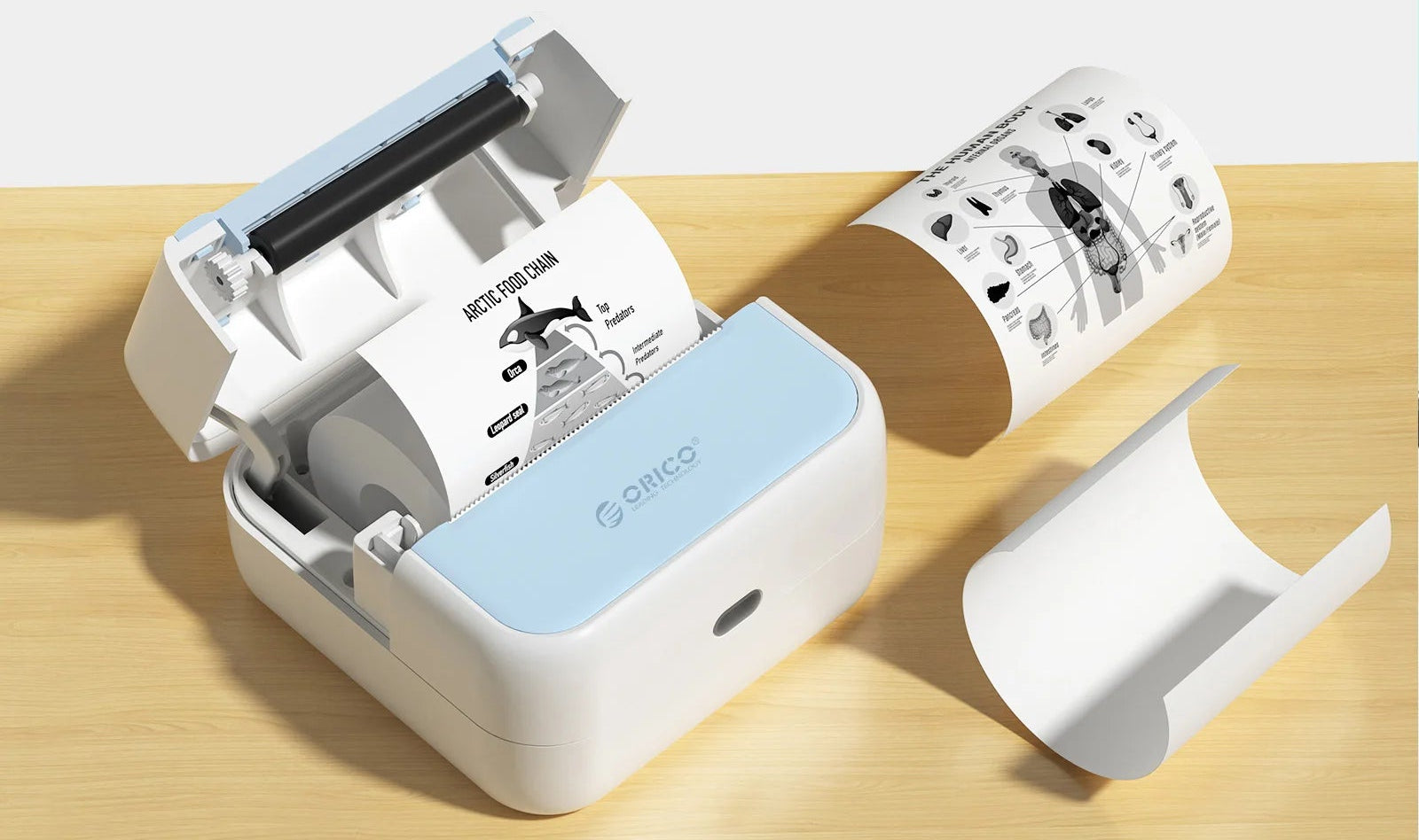 Mini Imprimante Instantanée